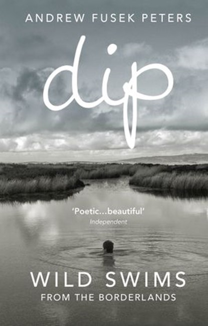 Dip, Andrew Fusek Peters - Ebook - 9781473501812