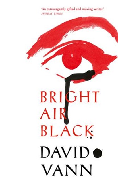 Bright Air Black, David Vann - Ebook - 9781473507678