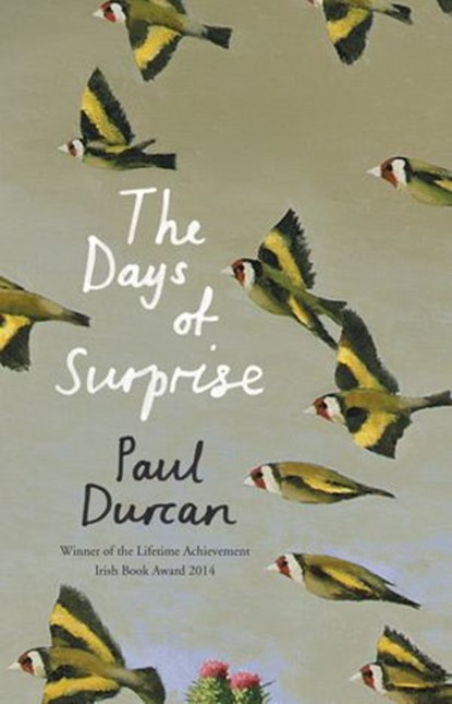 The Days of Surprise, Paul Durcan - Ebook - 9781473521681