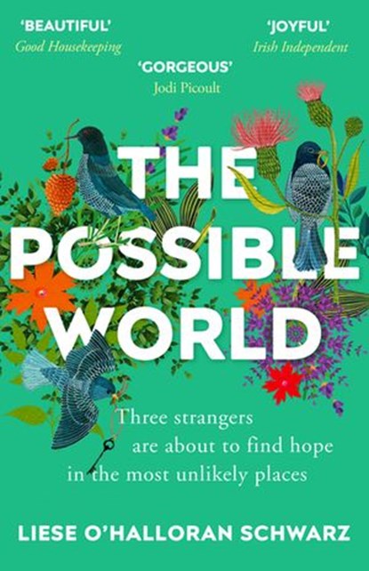 The Possible World, Liese O'Halloran Schwarz - Ebook - 9781473539297