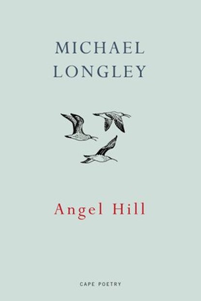 Angel Hill, Michael Longley - Ebook - 9781473546387