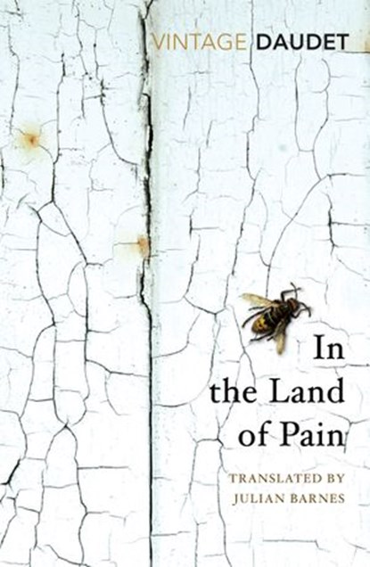 In the Land of Pain, Alphonse Daudet - Ebook - 9781473552319