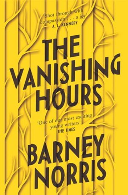 The Vanishing Hours, Barney Norris - Ebook - 9781473557680