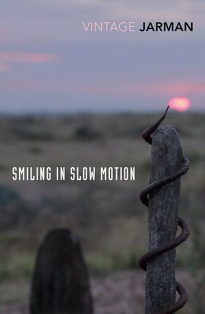Smiling in Slow Motion, Derek Jarman - Ebook - 9781473559066