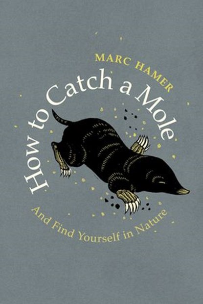 How to Catch a Mole, Marc Hamer - Ebook - 9781473562967