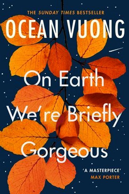 On Earth We're Briefly Gorgeous, Ocean Vuong - Ebook - 9781473564473