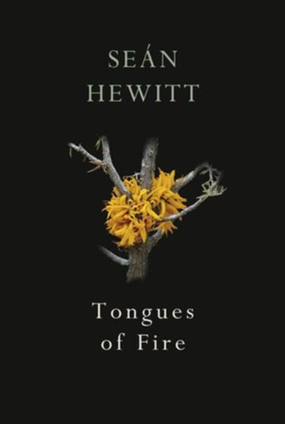 Tongues of Fire, Seán Hewitt - Ebook - 9781473575929