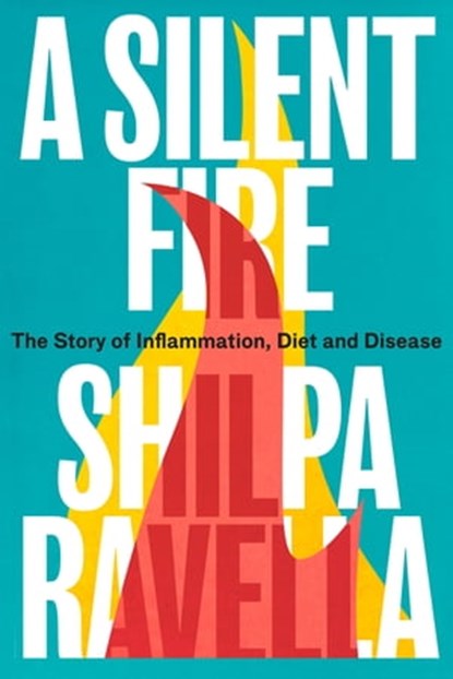 A Silent Fire, Shilpa Ravella - Ebook - 9781473587557