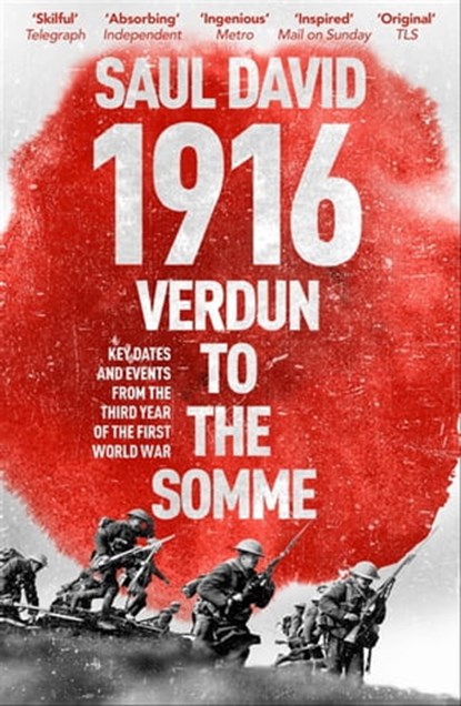 1916: Verdun to the Somme, Saul David Ltd ; Saul David - Ebook - 9781473603981