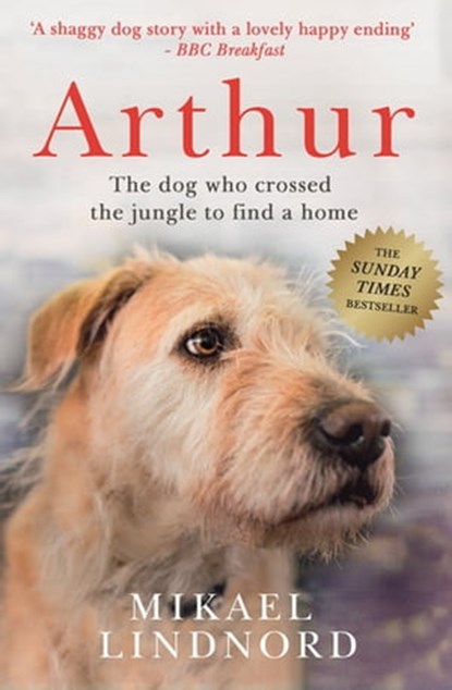 Arthur the King, Mikael Lindnord - Ebook - 9781473625280