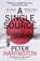 A Single Source, Peter Hanington - Paperback - 9781473625488