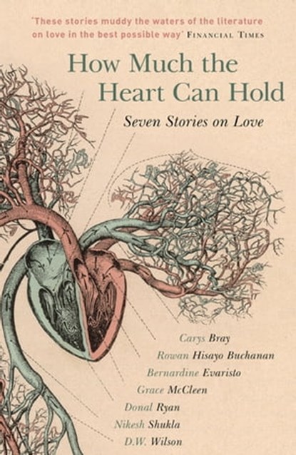 How Much the Heart Can Hold, Carys Bray ; Rowan Hisayo Buchanan ; Bernardine Evaristo ; Grace McCleen ; Donal Ryan ; Nikesh Shukla ; D.W. Wilson - Ebook - 9781473649446