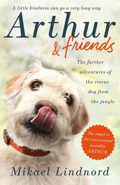 Arthur and Friends, Mikael Lindnord ; Val Hudson - Ebook - 9781473661653