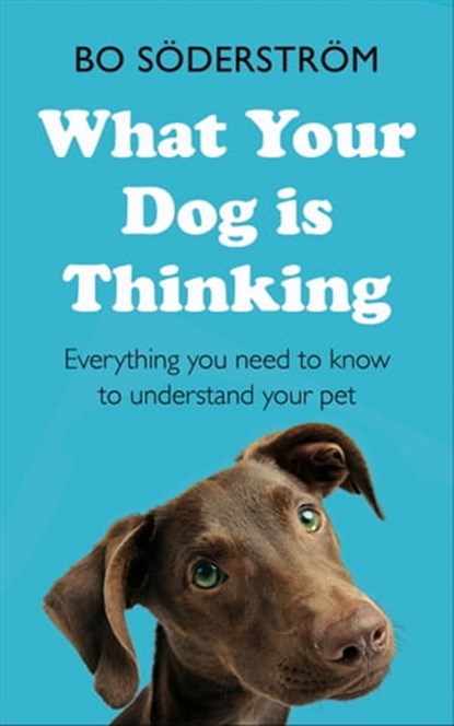 What Your Dog Is Thinking, Bo Söderström - Ebook - 9781473688384