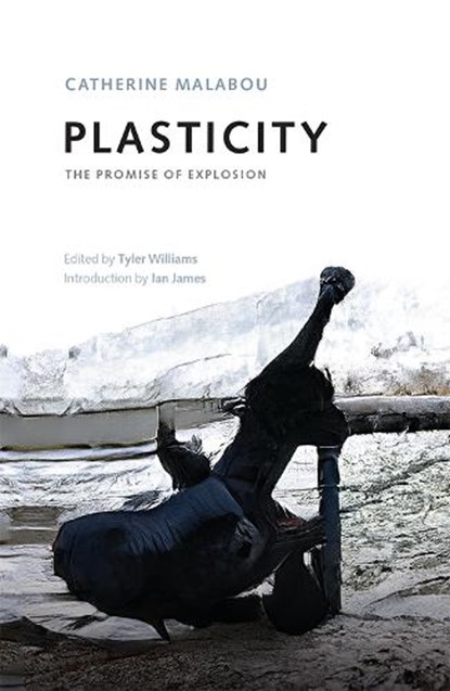 Plasticity, Catherine Malabou - Paperback - 9781474462129