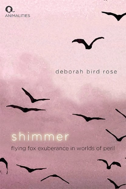 Shimmer, Deborah Bird Rose - Paperback - 9781474490399