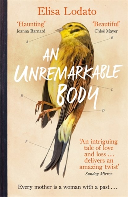 An Unremarkable Body, Elisa Lodato - Paperback - 9781474606356