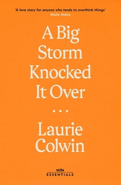 A Big Storm Knocked it Over, Laurie Colwin - Ebook - 9781474615976