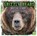 Grizzly Bears, Lori Polydoros - Gebonden - 9781474702003