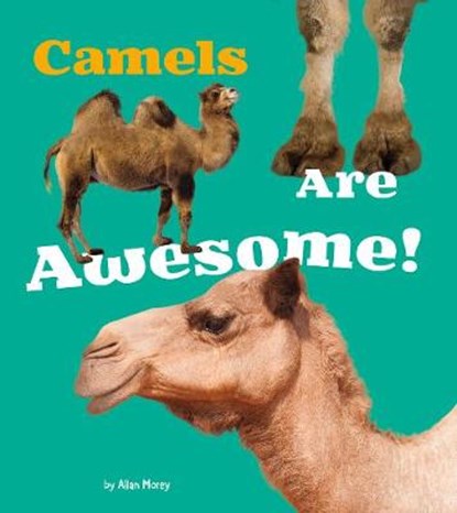 Camels Are Awesome!, Allan Morey - Gebonden - 9781474702508