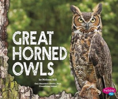 Great Horned Owls, HILL,  Melissa - Gebonden - 9781474704946