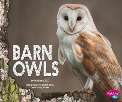 Barn Owls, Melissa Hill - Gebonden - 9781474704953