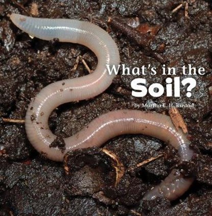 What's in the Soil?, RUSTAD,  Martha E. H. - Paperback - 9781474706087