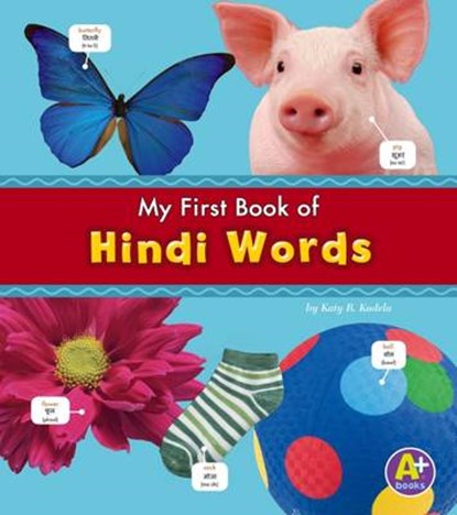 Hindi Words, Katy R. Kudela - Paperback - 9781474706933