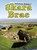 Skara Brae, FINCH,  Dawn - Gebonden - 9781474709248