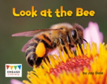 Look at the Bee, DALE,  Jay - Paperback - 9781474715003