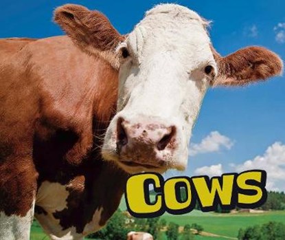 Cows, Sheri Doyle - Gebonden - 9781474719025
