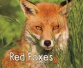 Red Foxes | G.G. Lake | 