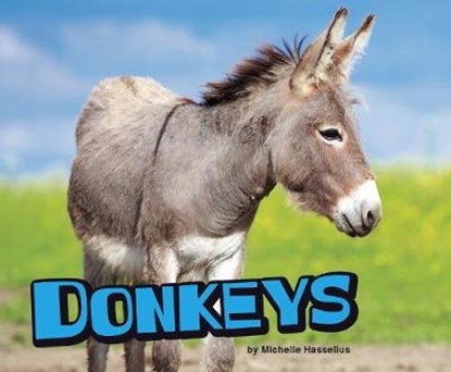 Donkeys, HASSELIUS,  Michelle - Paperback - 9781474722650