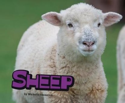 Sheep, Michelle M. Hasselius - Paperback - 9781474722674