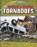 The World's Worst Tornadoes, BAKER,  John R. - Paperback - 9781474724821