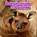 Baby Animals in Pouches, RUSTAD,  Martha E. H. - Paperback - 9781474733335