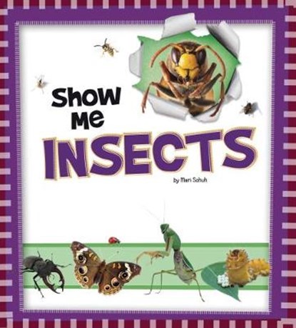 Show Me Insects, SCHUH,  Mari - Paperback - 9781474733526