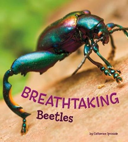 Breathtaking Beetles, Catherine Ipcizade - Gebonden - 9781474736022