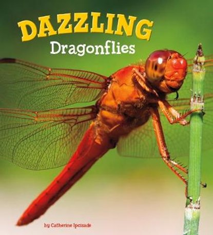 Dazzling Dragonflies, Catherine Ipcizade - Gebonden - 9781474736039