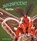 Magnificent Moths, RUSTAD,  Martha E. H. - Gebonden - 9781474736046