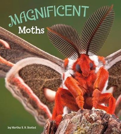 Magnificent Moths, RUSTAD,  Martha E. H. - Gebonden - 9781474736046