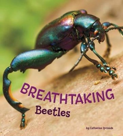 Breathtaking Beetles, Catherine Ipcizade - Paperback - 9781474736060
