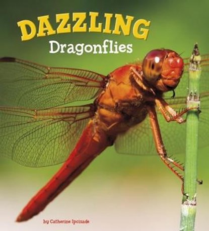 Dazzling Dragonflies, IPCIZADE,  Catherine - Paperback - 9781474736077