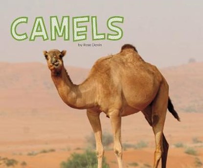 Camels, DAVIN,  Rose - Gebonden - 9781474736565