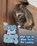 The Truth about Cats, COLSON,  Mary - Paperback - 9781474738538