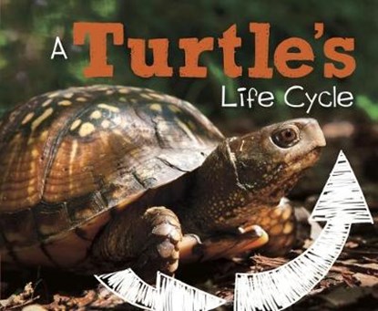 A Turtle's Life Cycle, Mary R. Dunn - Gebonden - 9781474743310