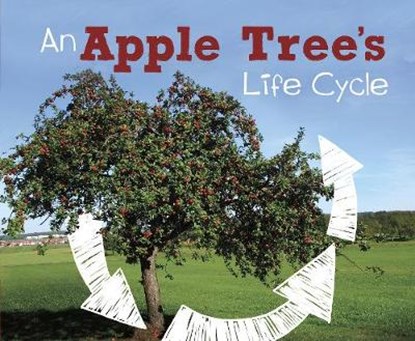 An Apple Tree's Life Cycle, DUNN,  Mary R. - Paperback - 9781474743389