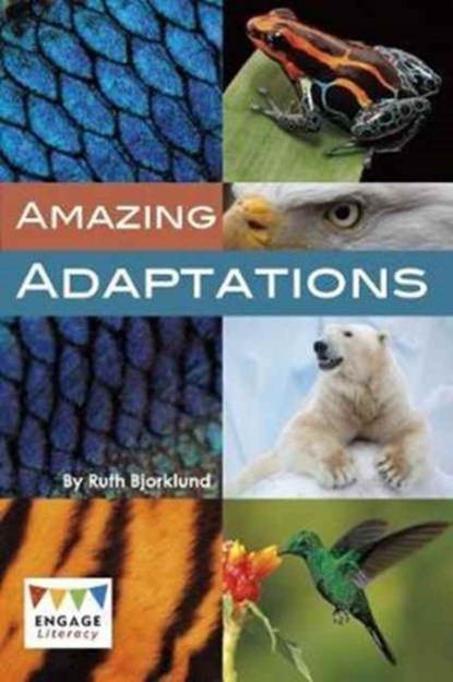 Animal Adaptations, Ruth Bjorklund - Paperback - 9781474747059