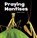 Praying Mantises, Lisa J. Amstutz - Gebonden - 9781474747783