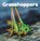 Grasshoppers, Lisa J. Amstutz - Paperback - 9781474747813